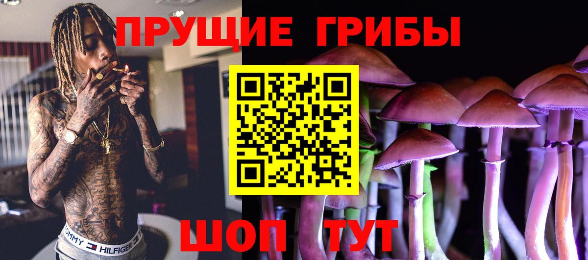 цены   Псилоцибиновые грибы MAGIC MUSHROOMS  Псилоцибиновые грибы Cubensis  Вход с VPN  Сланцы 